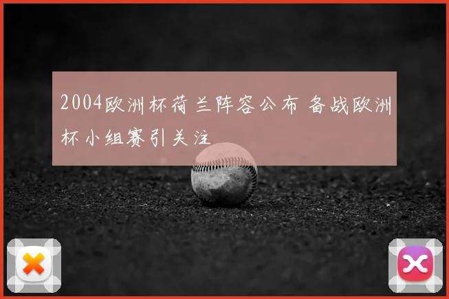 2004欧洲杯荷兰阵容公布 备战欧洲杯小组赛引关注