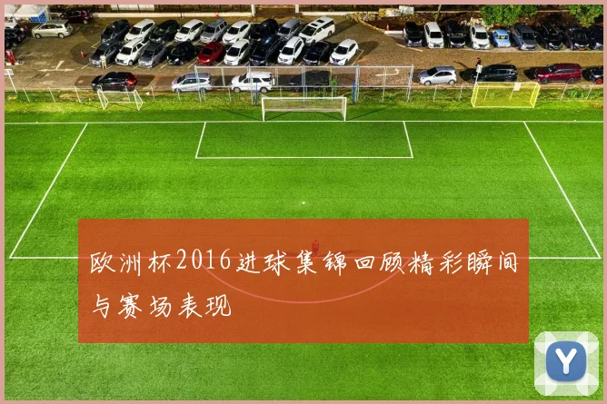 欧洲杯2016进球集锦回顾精彩瞬间与赛场表现