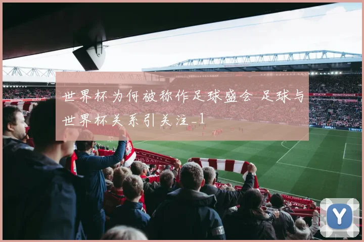 世界杯为何被称作足球盛会 足球与世界杯关系引关注_1