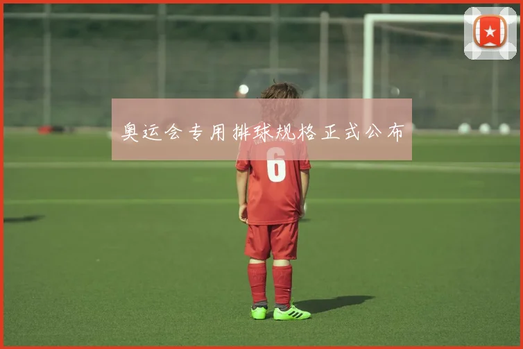 奥运会专用排球规格正式公布