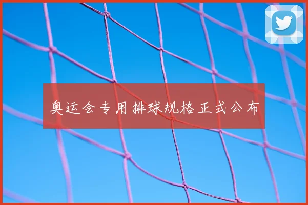 奥运会专用排球规格正式公布