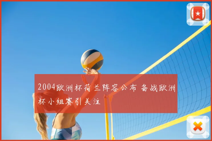 2004欧洲杯荷兰阵容公布 备战欧洲杯小组赛引关注