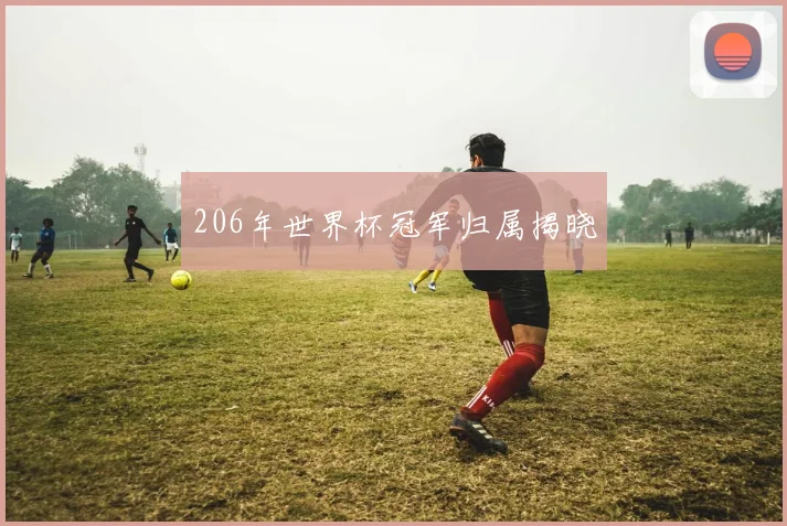 206年世界杯冠军归属揭晓