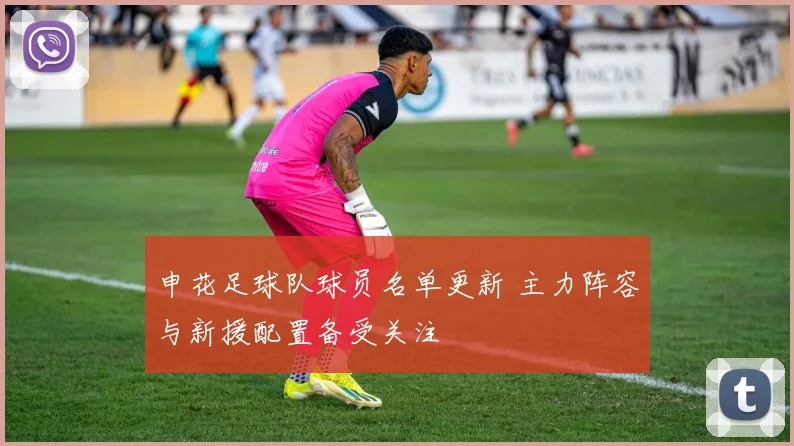 申花足球队球员名单更新 主力阵容与新援配置备受关注