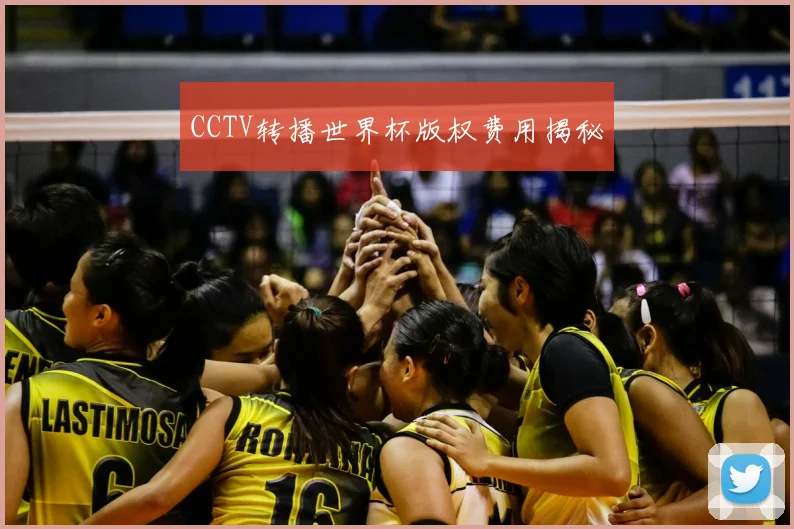 CCTV转播世界杯版权费用揭秘