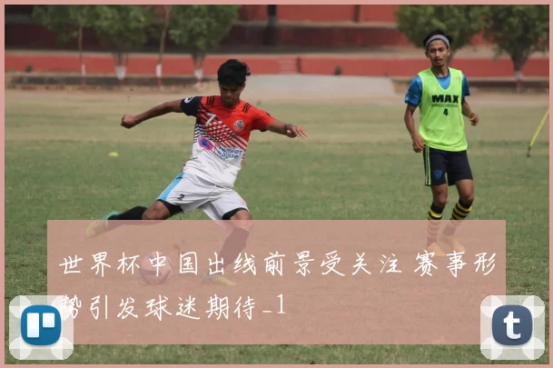 世界杯中国出线前景受关注 赛事形势引发球迷期待_1