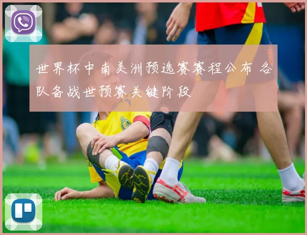 世界杯中南美洲预选赛赛程公布 各队备战世预赛关键阶段