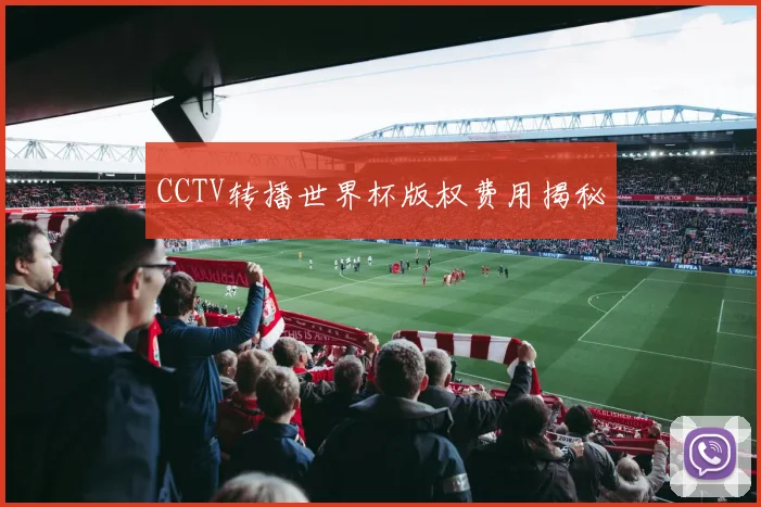 CCTV转播世界杯版权费用揭秘