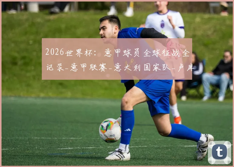 2026世界杯:意甲球员全球征战全记录_意甲联赛_意大利国家队_卢库
