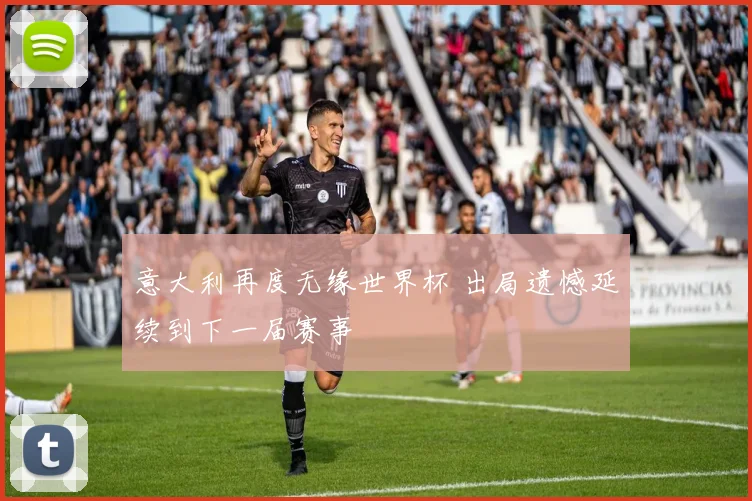 意大利再度无缘世界杯 出局遗憾延续到下一届赛事