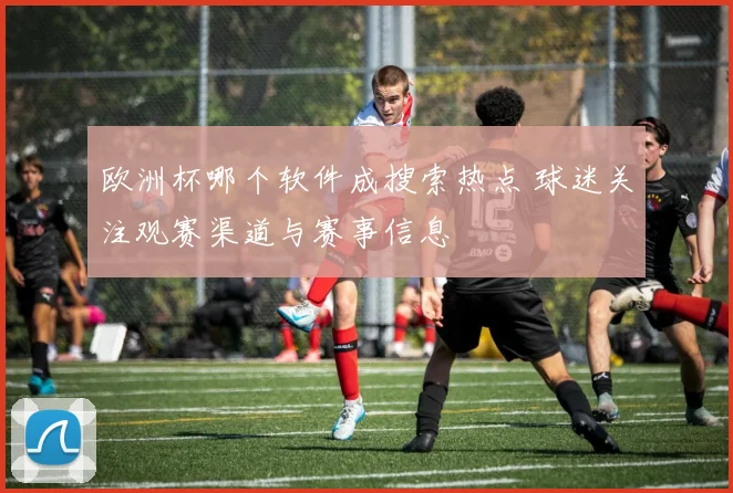 欧洲杯哪个软件成搜索热点 球迷关注观赛渠道与赛事信息