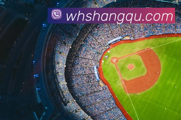 beat365在线唯一官网登录发展历程