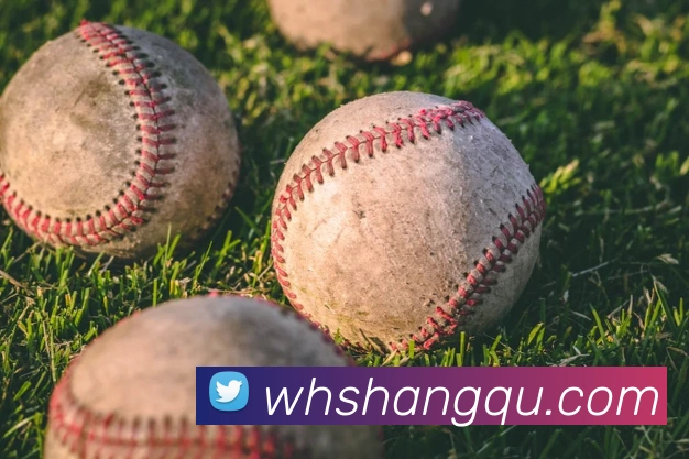 奖项图2